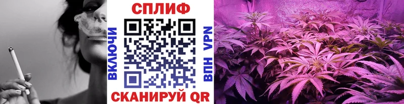 Цена Ковдор Галлюциногенные грибы  Амфетамин  Меф  Конопля  A-PVP  Гашиш 