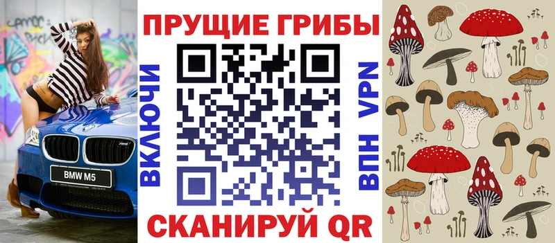 Псилоцибиновые грибы Cubensis  ОМГ ОМГ вход  Ковдор 
